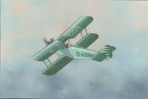 De Havilland DH60X Moth | Guillermo Coll
