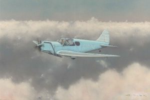 De Havilland DH94 Moth Minor | Guillermo Coll