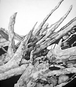 El arbol seco (dried tree) (IV) | Guillermo Coll