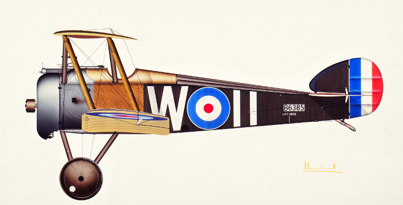 Sopwith F1 Camel | Guillermo Coll