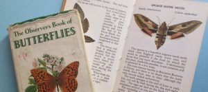 Book of butterflies