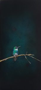 Bird picture | Guillermos Coll