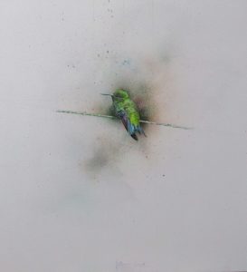 Bird picture | Guillermos Coll