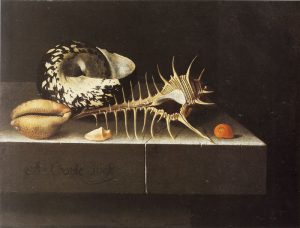 Adriaen Coorte