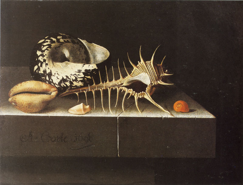 Adriaen Coorte