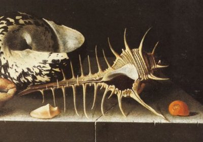Adriaen Coorte