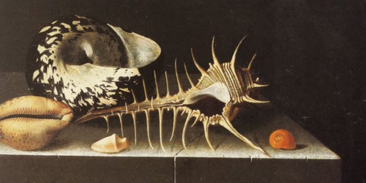 Adriaen Coorte