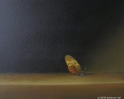 Butterflyes | Guillermo Coll